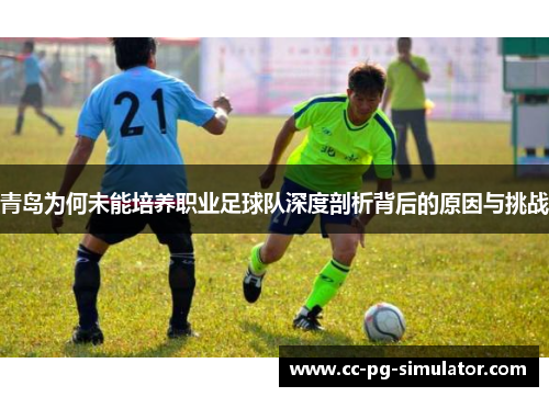 青岛为何未能培养职业足球队深度剖析背后的原因与挑战