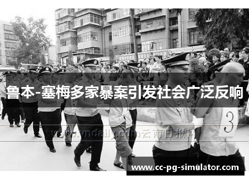 鲁本-塞梅多家暴案引发社会广泛反响