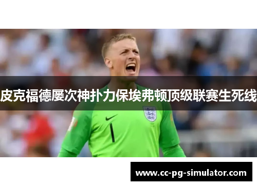 皮克福德屡次神扑力保埃弗顿顶级联赛生死线